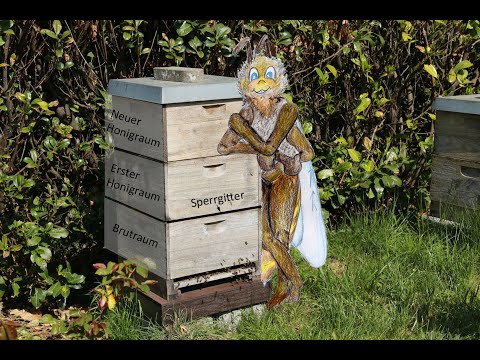 Zargenbeute zweiter Honigraum Ende April