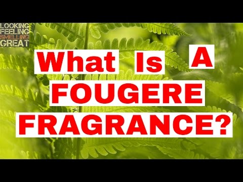 What Is A Fougere Fragrance? 🌱 🌿 ☘ 🍀🍃 Video