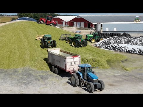 Chopping Corn Silage on an Ohio Dairy Farm | Darke County