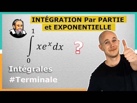 INTEGRATION BY PART (IPP) and EXPONENTIAL - Corrected Exercise - Terminale