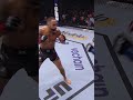 Never forget Chris Gutierrez's HUGE knee at Madison Square Garden ?