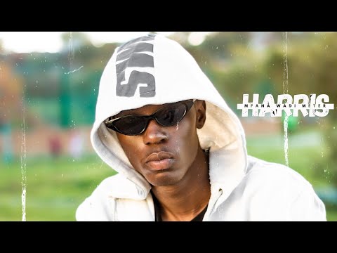 HarrisDontcare  & Lulownorif  -Besenzani #visuals By Bujo Best