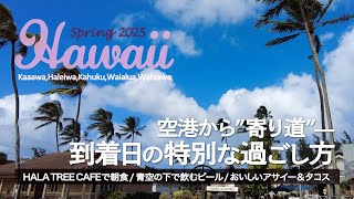 【2025春ハワイ】空港からカアアワへ!海が見えるカフェから始まる1日 │ 青空の下でビールを楽しんでからの │ カフク、ハレイワを回ってワヒアワで調達した晩ごはんは... │ Hawaii Vlog