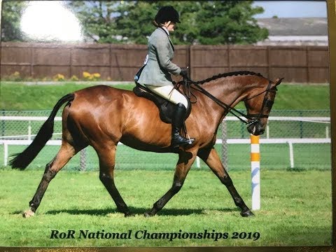 Ruth and Noel and Smokey Bay at Aintree 2019