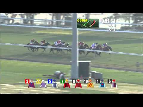 2015 Hong Kong Classic Mile (HK Group 1)
