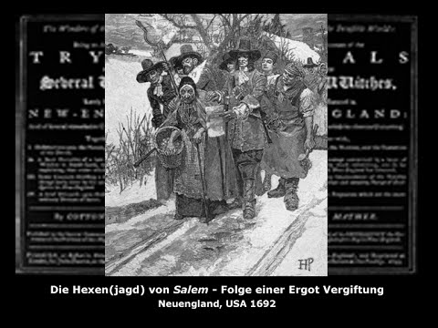 Die Rolle des Mutterkorn in den Hexenprozessen von Salem und Europa