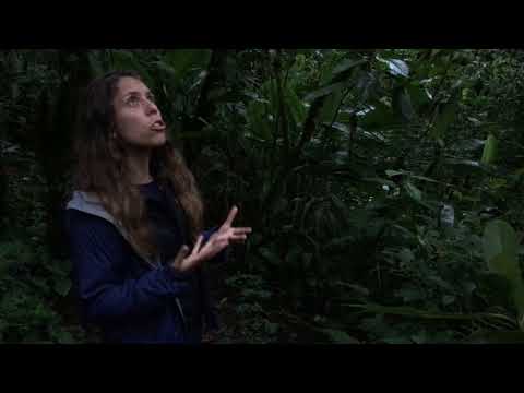 download lagu mp3 mp4 Eileen Hall, download lagu Eileen Hall gratis, unduh video klip Eileen Hall