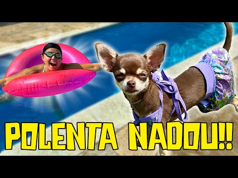 POLENTA FINALMENTE NADOU NA PISCINA!🎉✨