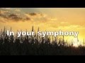 Symphony by Chris Taylor