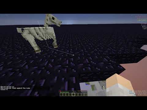 BoodlesMaker - HACKING IS ALLOWED ON THIS SERVER?!?! - The Oldest Anarchy Server In Minecraft...