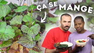 Les FEUILLES DE PATATE DOUCE de A à Z (Plantation, Culture et Comment les MANGER)