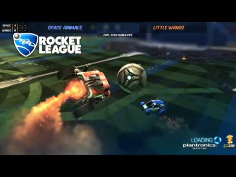 CGPL Open Qualifier: Space Animals vs Little Wangs