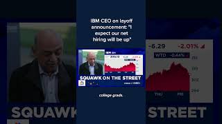 IBM CEO on layoff announcement: 'I expect our net hiring will be up'