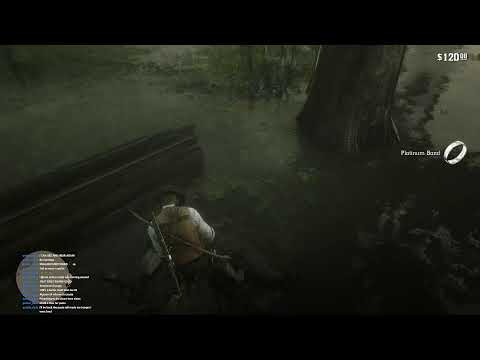 Making a name for ourselves!