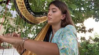 Sofi Harpist video preview