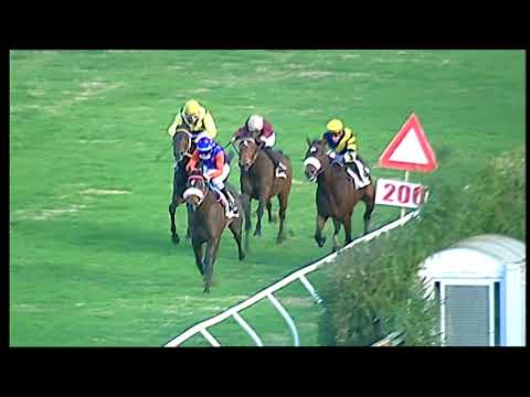 Galoppo 04/01/2021 - 3ª corsa