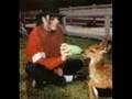 Michael Jackson Ben live Triumph tour excellent ...