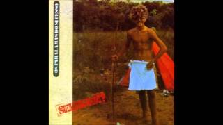 Selvagem - Os Paralamas Do Sucesso