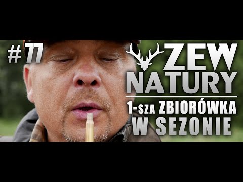 Zew Natury #77 - Pierwsza zbiorówka w sezonie