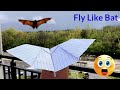 Paper Plane Fly Like A Bat Flying Paper Plane Like Bat Ike Butterfly Notebook Paper Flying Bat