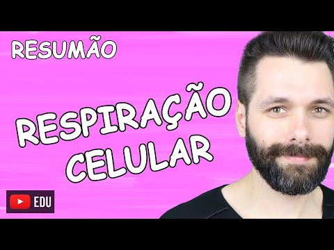 RESUMO Sobre RESPIRAÇÃO CELULAR | Biologia com Samuel Cunha