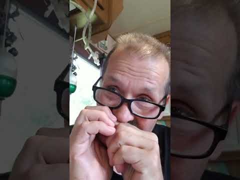 Messing around with a lick - #special20 G harp #bluesharmonica #harmonica #bluesharp #hohner