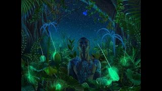 Dark Forest Psy Trance Mix 2014