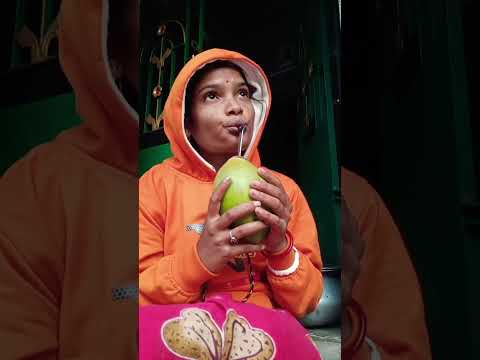 Kucing Minta Susu #sorts #funny