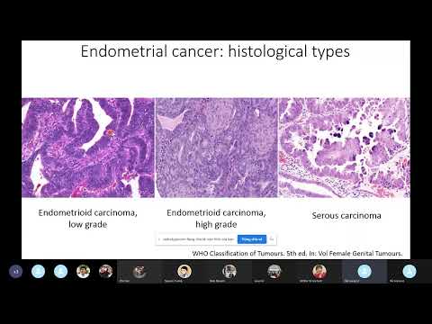 JCS 56. Integrated Genomic Characterization of endometrial carcinoma