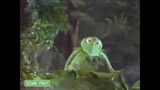 Kermit The Frog &amp; The Frogettes - Disco Frog (Discotheque Version)