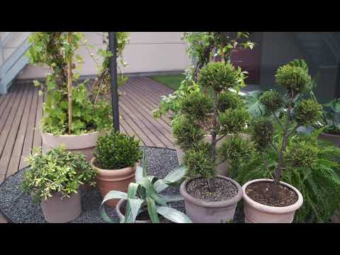 Deroma Show Room Video