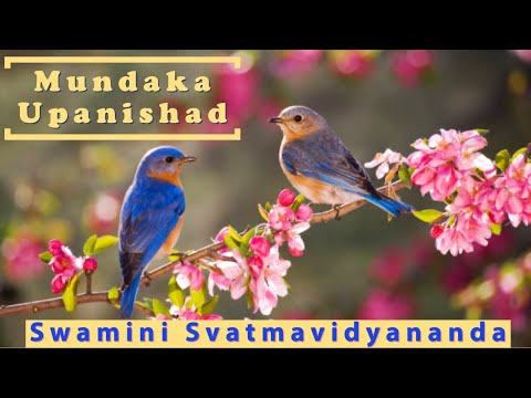 Mundakopanishad 21: mantra 2.1.1