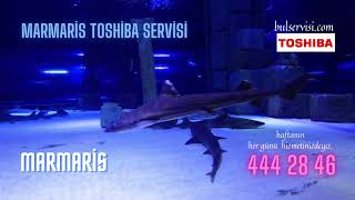 Marmaris Toshiba Servisi En İyi Teknik Servis