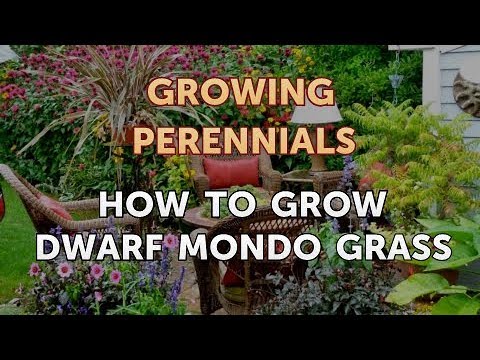 Can I Propagate a Peony From a Cutting