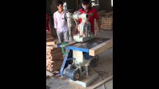 Video Máy đưa phôi tự động ( đầu bò)