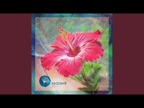 Misirlou (Extended Mix)