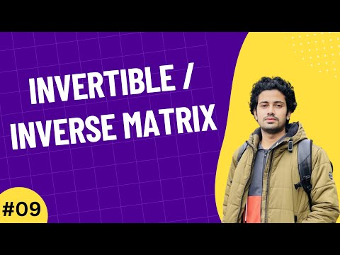 01 The Importance of Linear Algebra in AI Machine Learning Data Science Bangla