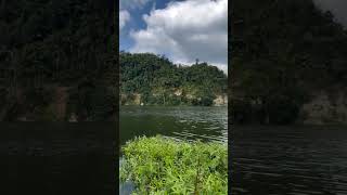 Download lagu Rumputnya seger buat Domba #ternakdombagarut #beternakdombagarut #ternak mp3