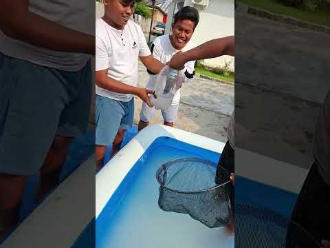 dapat ikan !!!