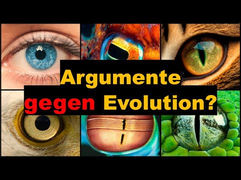 Zufall oder Design? Die Evolution der Augen (Von Luca bis Eva 13)