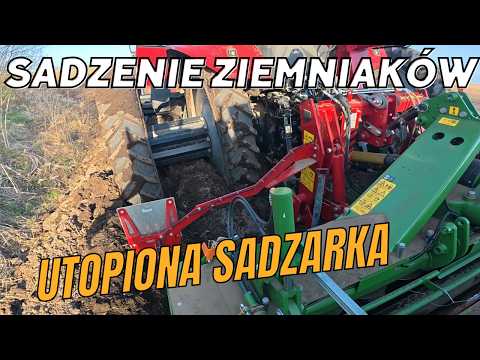 Ciągnik na ośmiu kołach ugrzązł w polu podczas sadzenie ziemniaków.