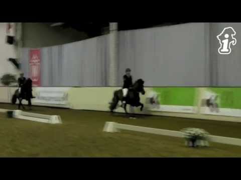 OSI Handorf 2013 - V2-Finale - isibless