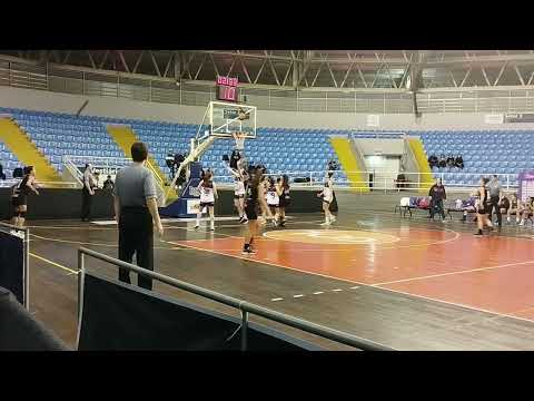 PAULA BERNARDO CARVALHO- HIGHLIGHTS 2022
