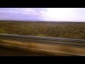 Jack Wilson - Rainbow/Tiger (OFFICIAL VIDEO ...