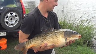 Рыбалка на карпа в черноземье