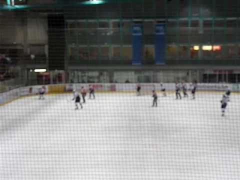 EV Regensburg-EV Lindau 01.03.09 Stimmung vor Spielende