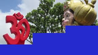 Nicht immer, aber immer öfter !