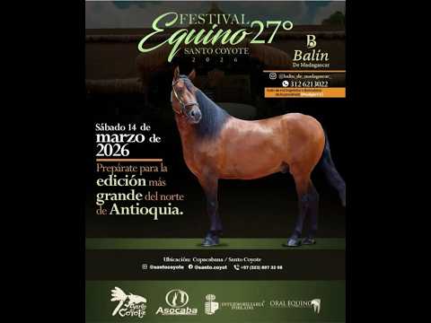 27° FESTIVAL EQUINO SANTO COYOTE - COPACABANA - ANTIOQUIA 2026