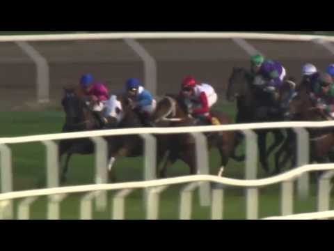 2013.06.11 Jockeyklubbens 2000 Guineas - Quite Mission