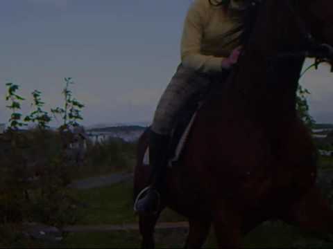 Alicia, Cimmi og  Ida på Hundvåg :D